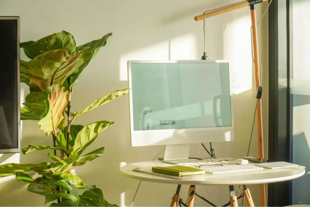 Bureau lumineux avec ordinateur et plante verte pour un projet d’architecture intérieure