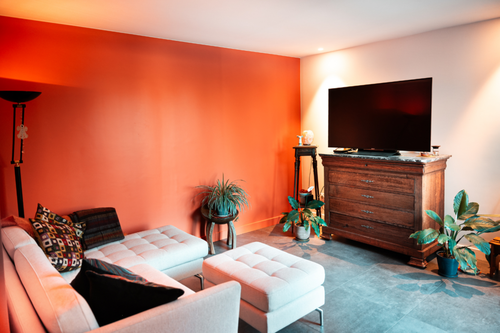 salon-chaleureux-renove